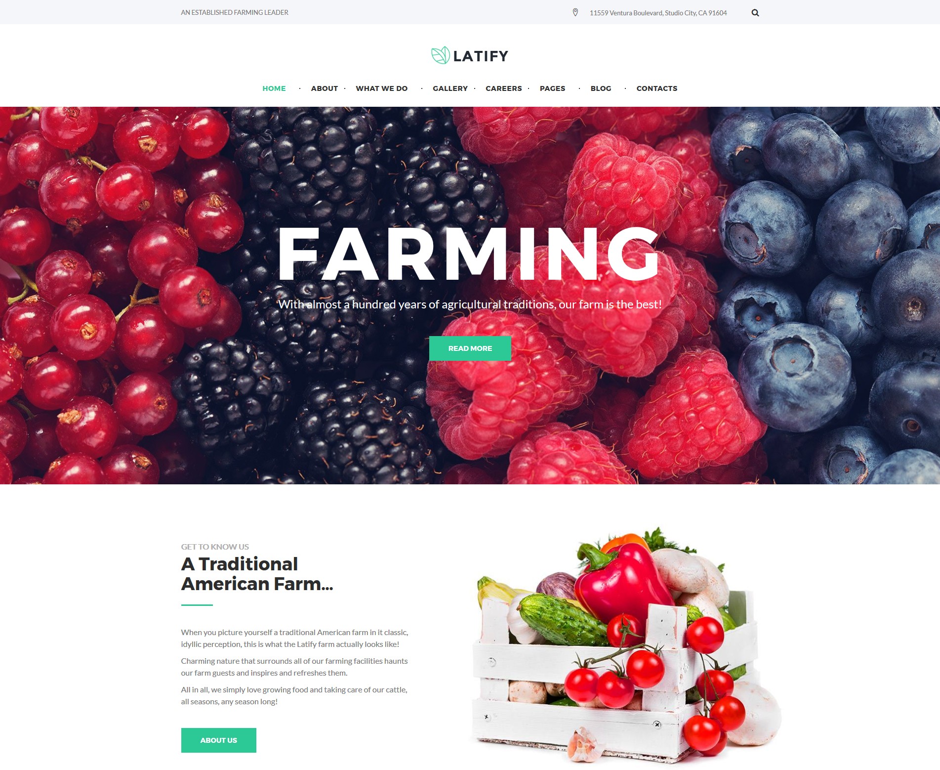 Responsywny motyw WordPress #63957